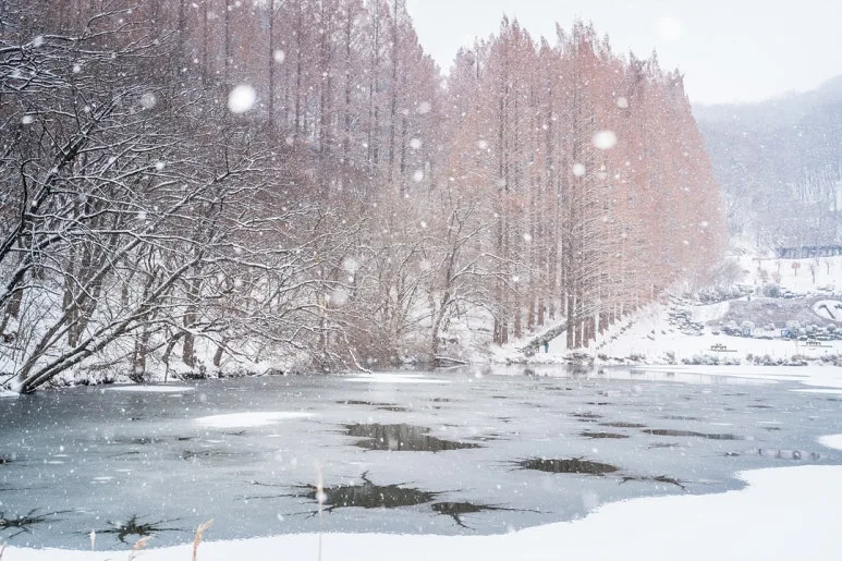 DSC07741.jpg?type=w773