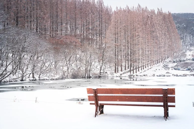 DSC07713.jpg?type=w773