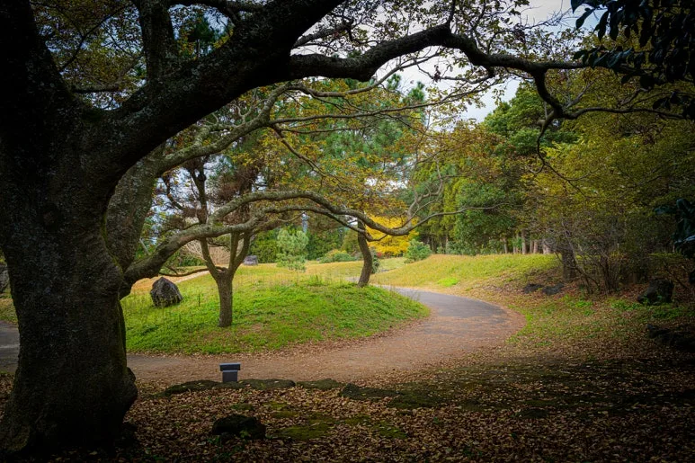 DSC_2817.jpg?type=w773