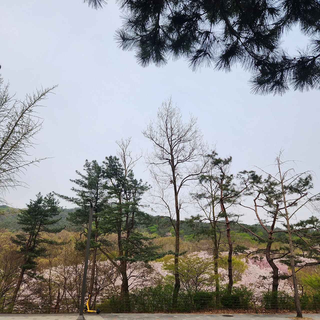 KakaoTalk_Photo_2024-04-13-14-56-41 010.jpeg