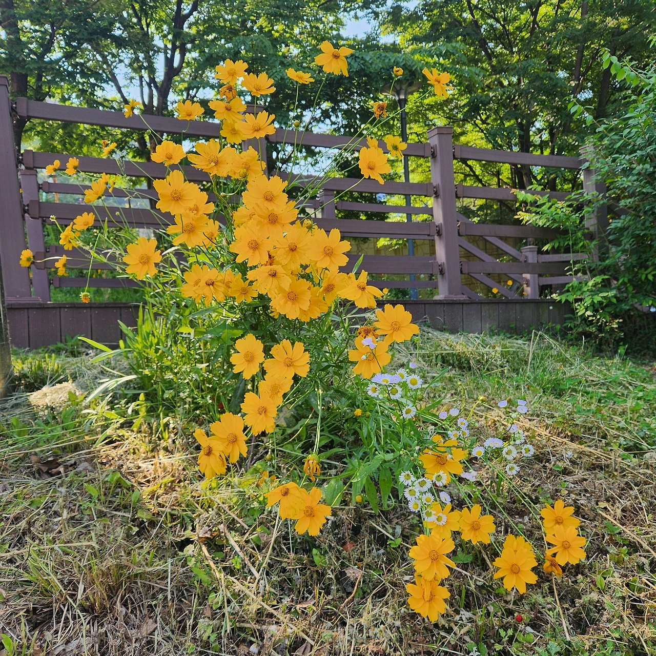 KakaoTalk_Photo_2024-06-15-09-37-15 003.jpeg