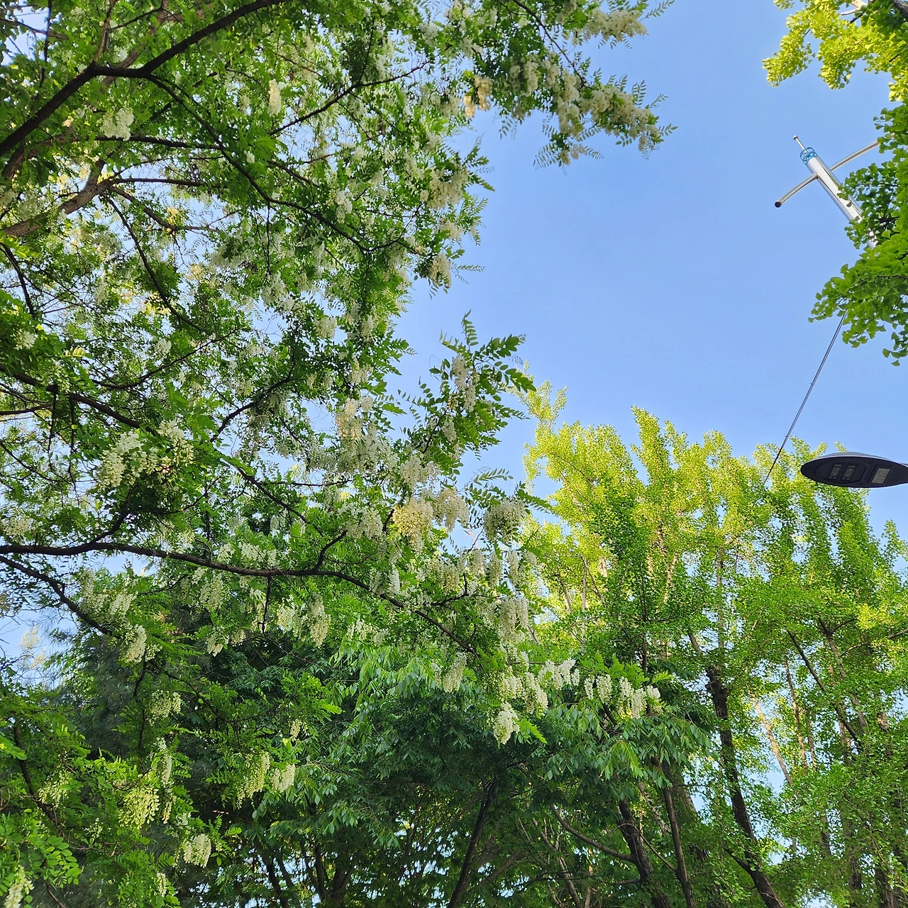 KakaoTalk_Photo_2024-05-03-15-46-11 001.jpeg