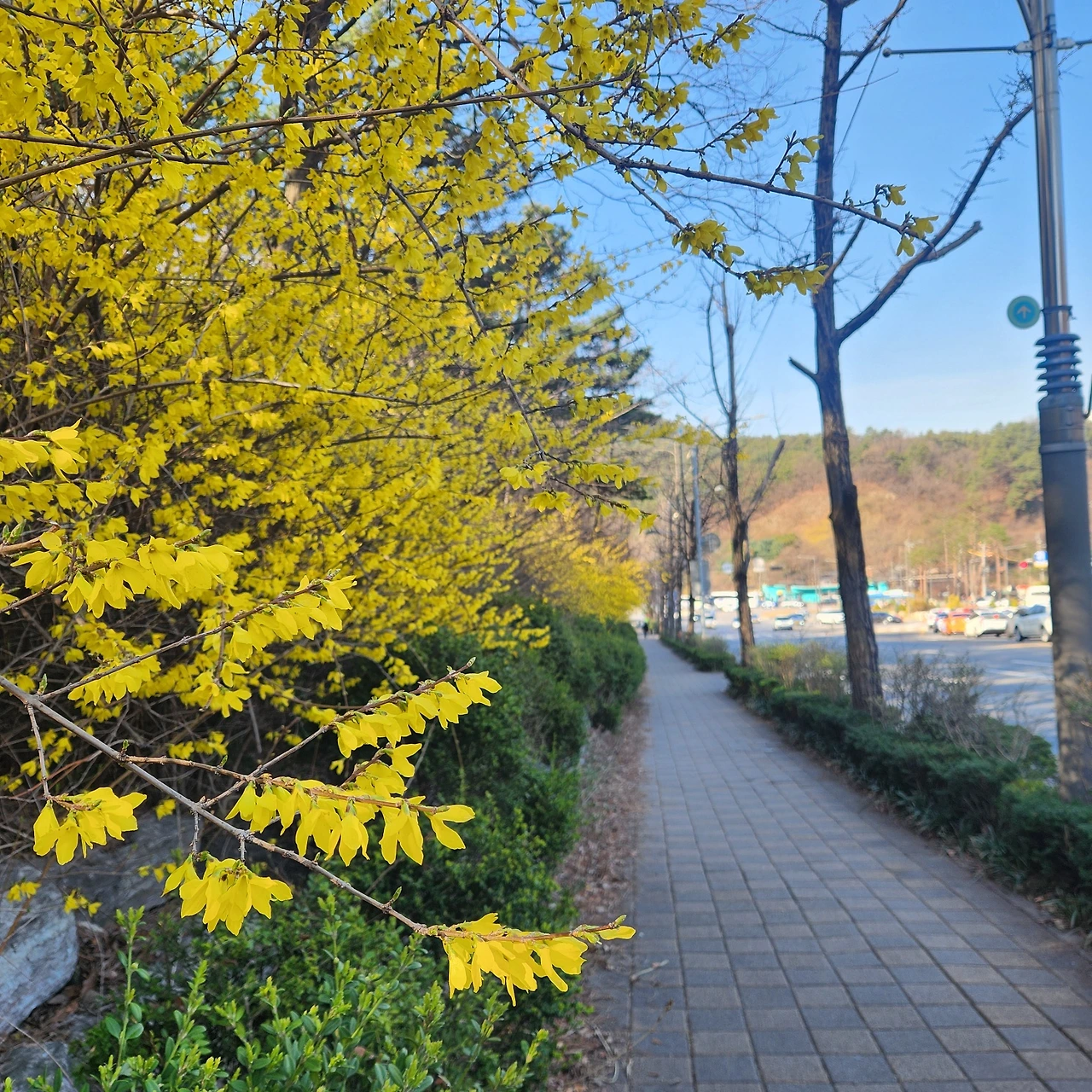 KakaoTalk_Photo_2024-04-13-14-56-40 003.jpeg