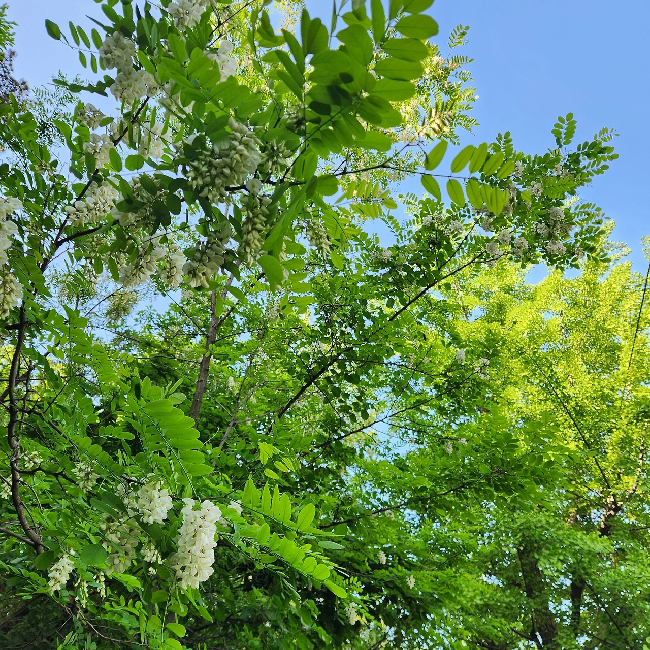 KakaoTalk_Photo_2024-05-03-15-46-12 002.jpeg