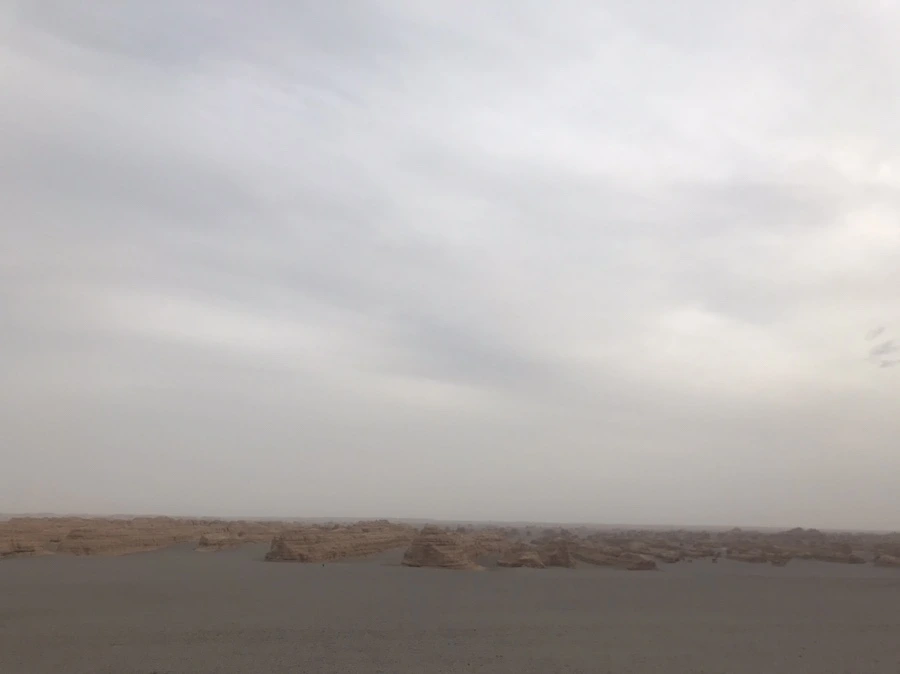 IMG_6031.jpg?type=w1