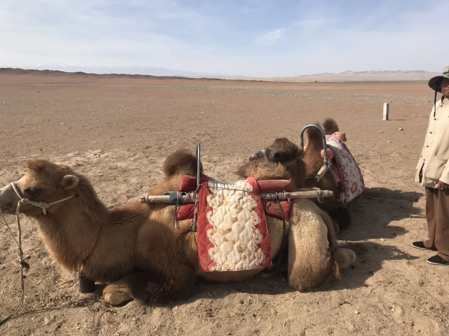 IMG_5939.jpg?type=w1