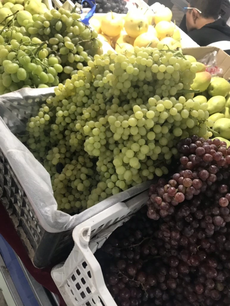 IMG_5780.jpg?type=w773