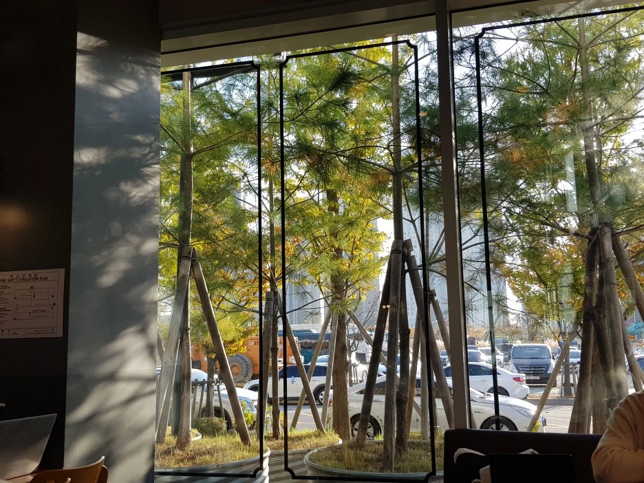 1573300524052.jpg?type=w1