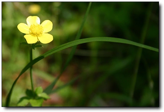 다운로드 (1).jpeg