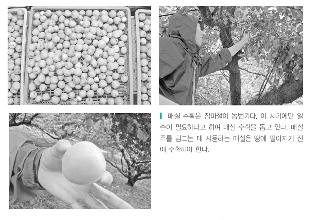 스크린샷 2015-08-05 오후 3.22.53.png