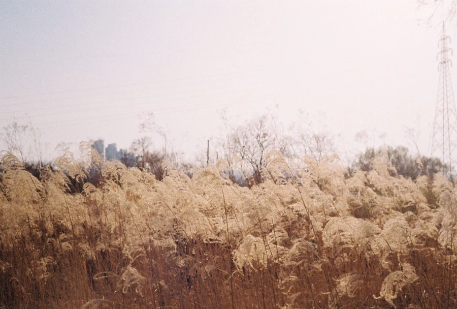 IMG_5094.JPG?type=w966