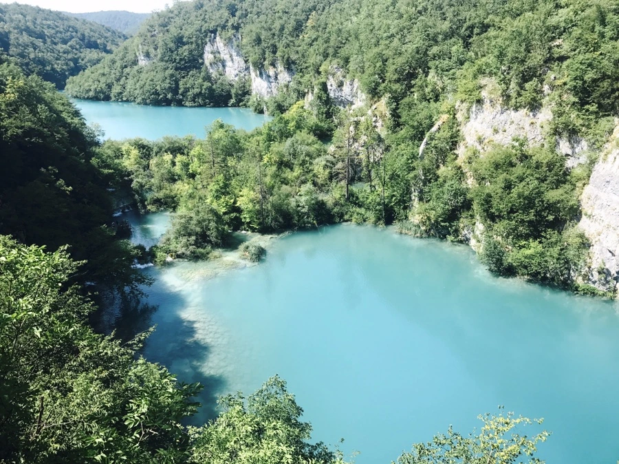 IMG_4620.JPG?type=w966