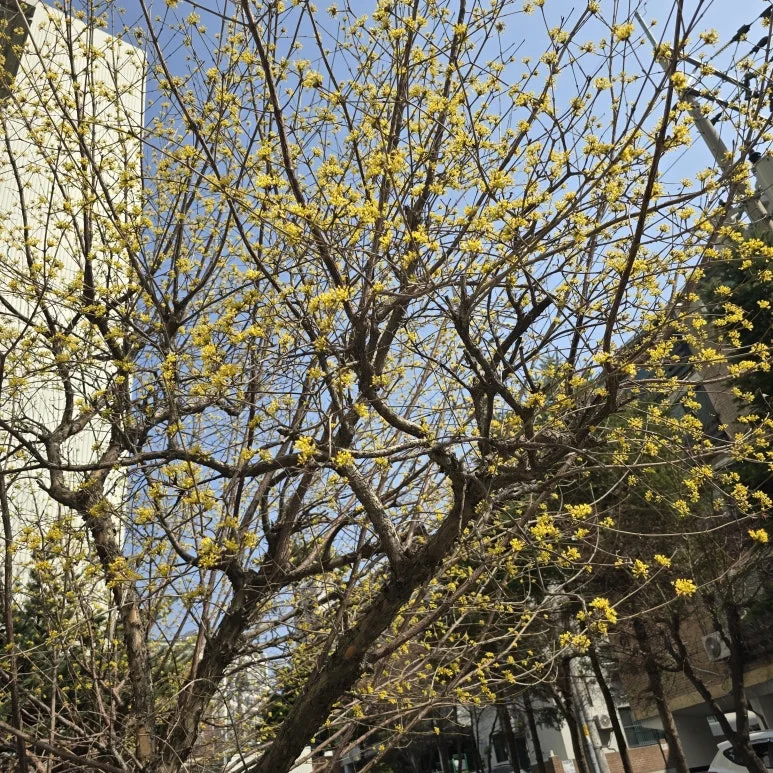 KakaoTalk_20251127_113646033_02.jpg?type=w773