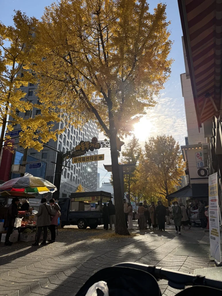 KakaoTalk_20251117_163707532_08.jpg?type=w773