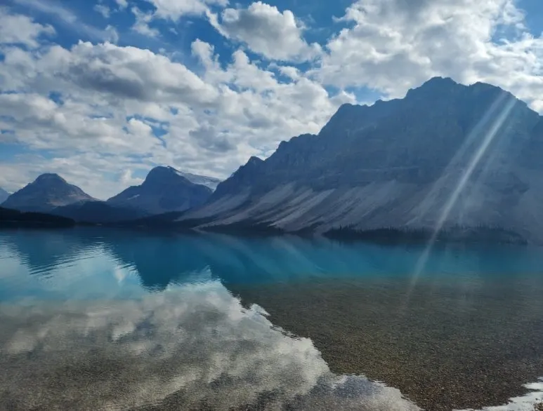 KakaoTalk_20251215_150935918.jpg?type=w773