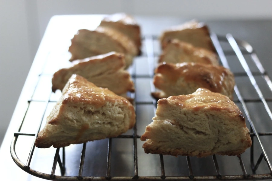 IMG_6740.JPG?type=w1