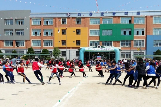 105161_39094_2353.jfif