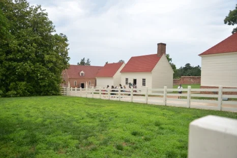 DSC_0857.JPG?type=w466