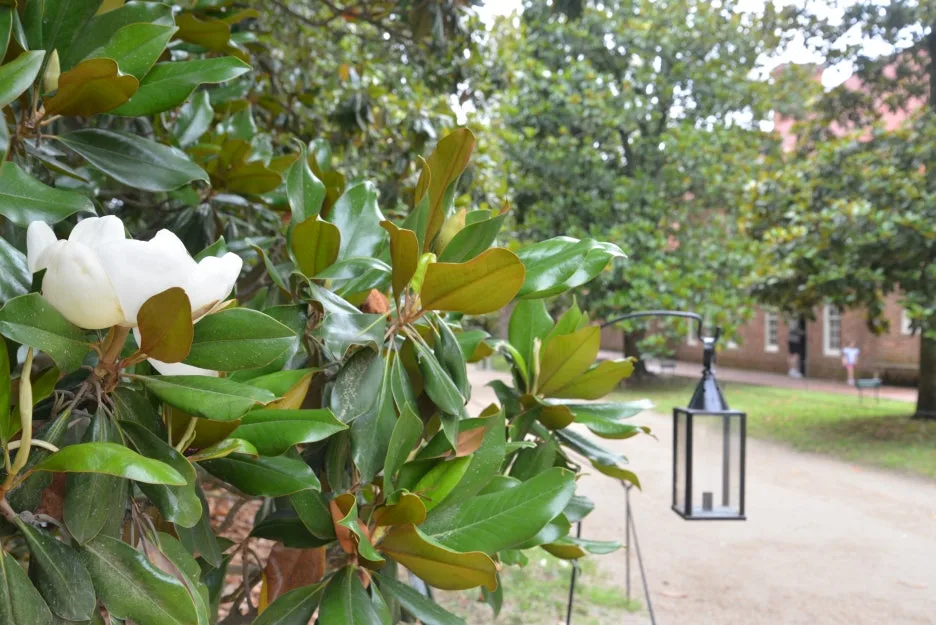 DSC_1057.JPG?type=w1