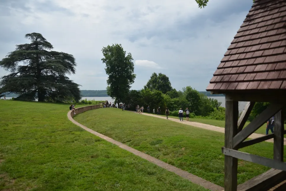 DSC_0814.JPG?type=w966