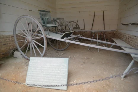 DSC_0843.JPG?type=w466