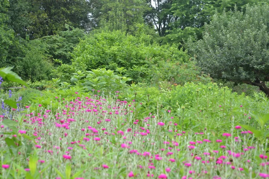 DSC_1025.JPG?type=w1