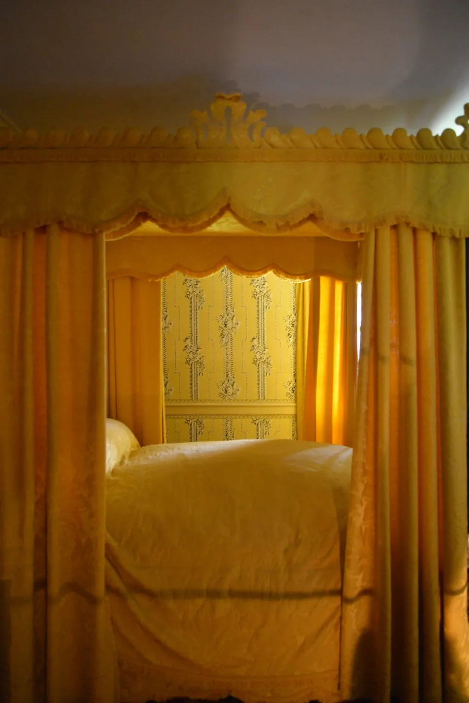 DSC_0905.JPG?type=w966