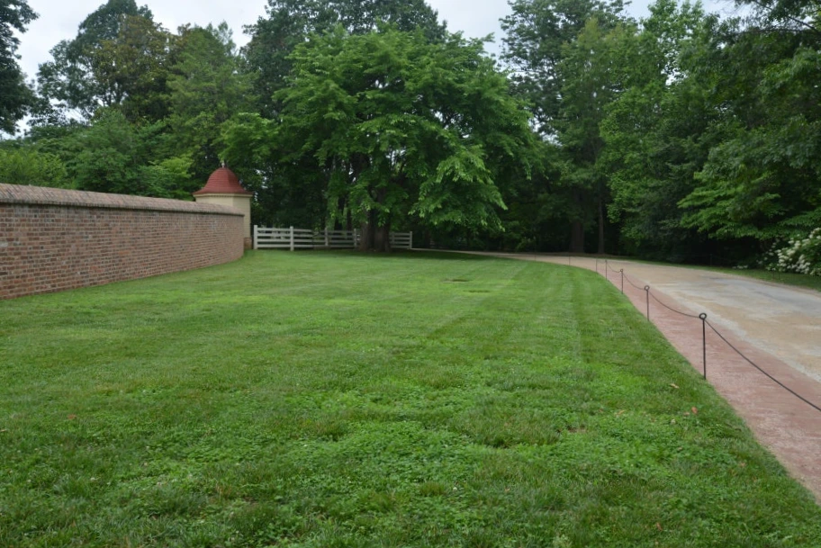 DSC_1046.JPG?type=w1