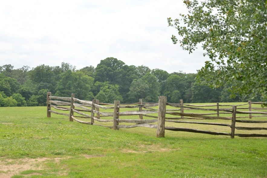 DSC_1153.JPG?type=w1