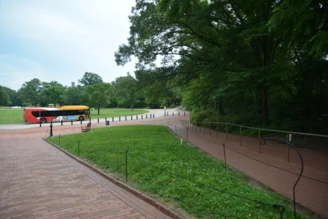 DSC_0706.JPG?type=w466