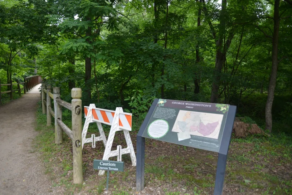 DSC_1162.JPG?type=w1