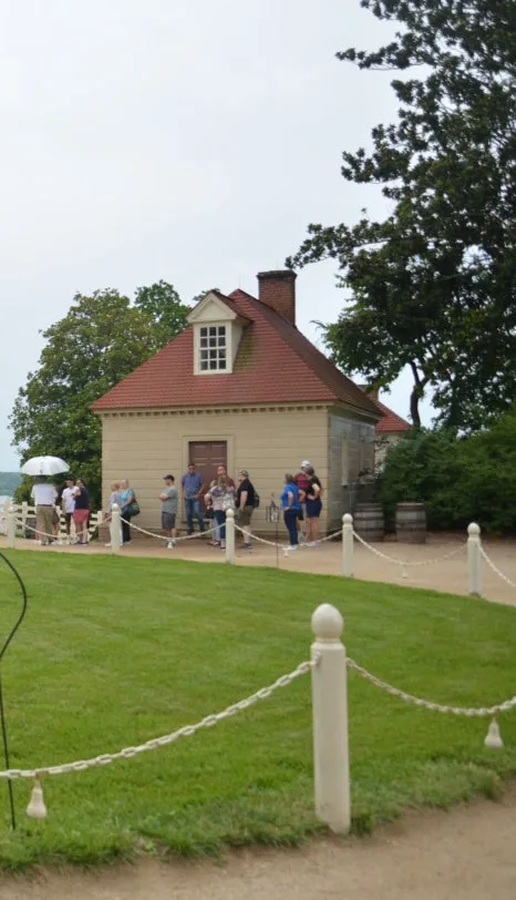 SE-e8382866-7c3b-4459-8aa5-ef179d519e3e.jpg?type=w466