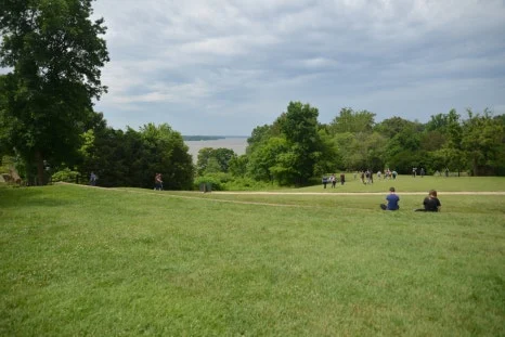 DSC_0816.JPG?type=w466