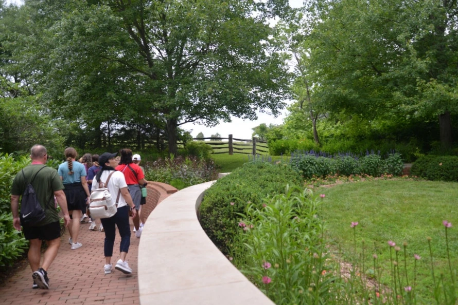 DSC_1151.JPG?type=w1