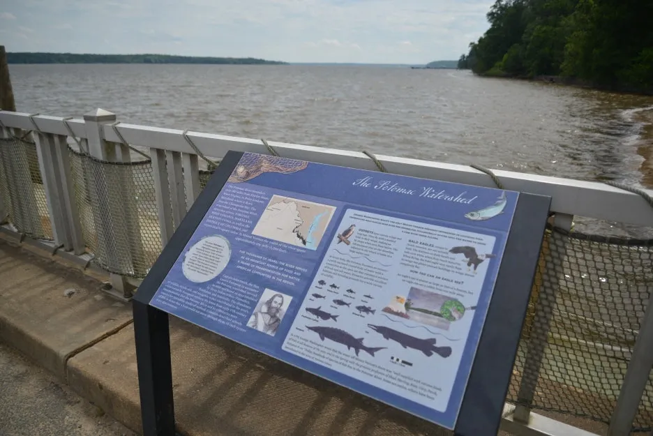 DSC_1190.JPG?type=w1