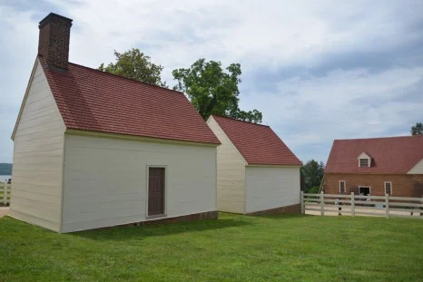 DSC_0806.JPG?type=w466