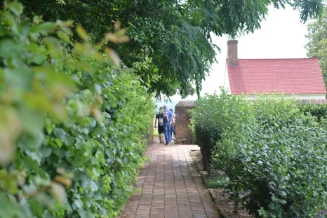 DSC_0801.JPG?type=w466