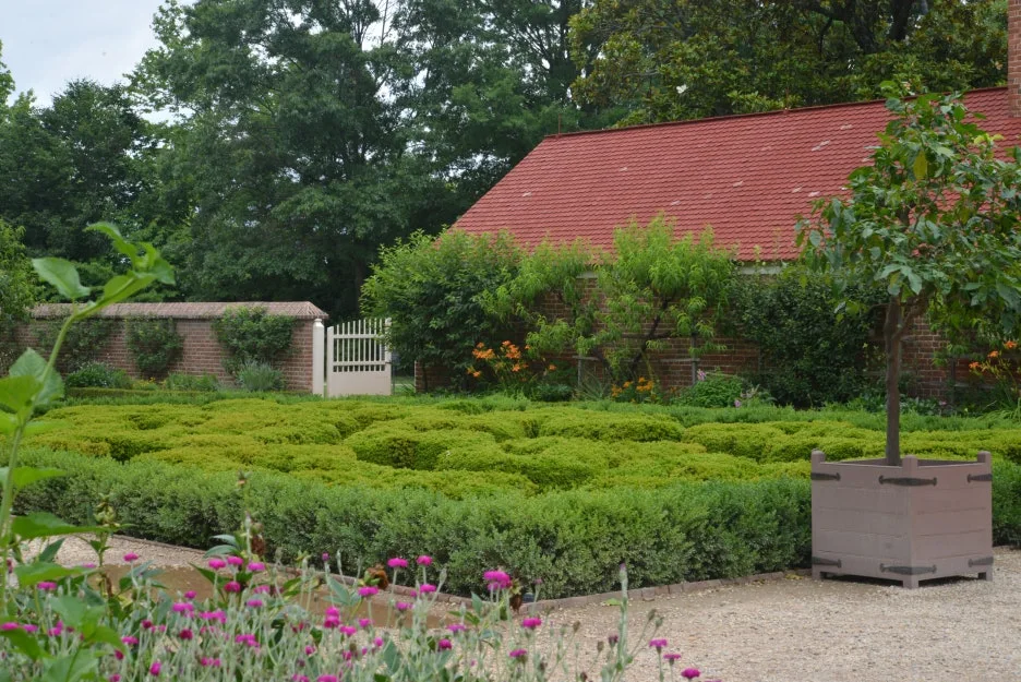 DSC_1028.JPG?type=w1