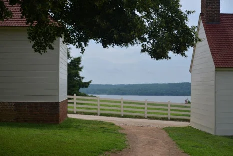 DSC_0804.JPG?type=w466