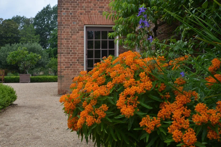 DSC_1014.JPG?type=w1