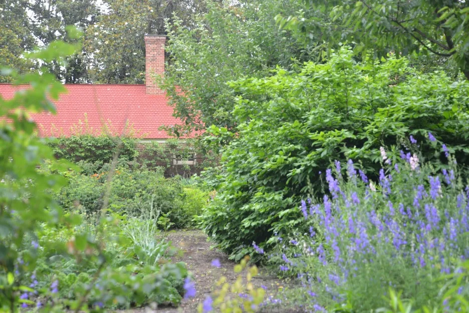 DSC_0975.JPG?type=w1