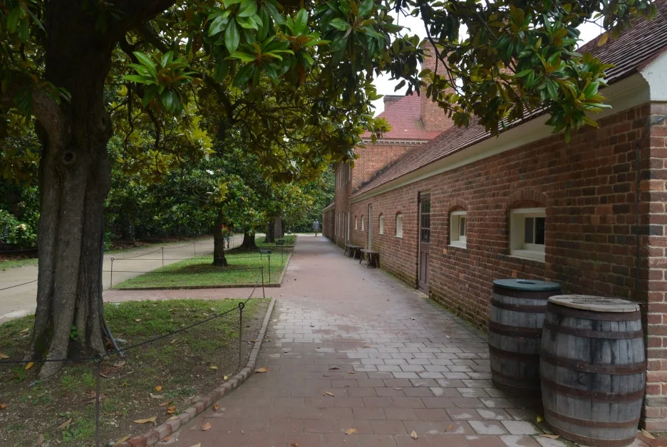 DSC_1044.JPG?type=w1