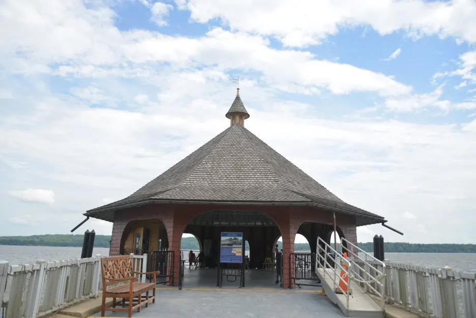 DSC_1191.JPG?type=w1