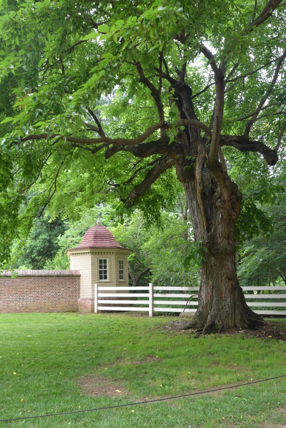 DSC_1061.JPG?type=w1