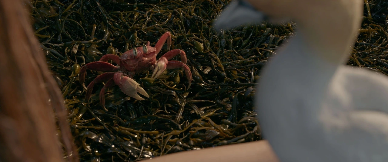 인어공주 12.jpeg