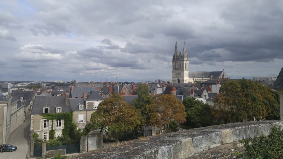 KakaoTalk_20190630_165329634.jpg?type=w966