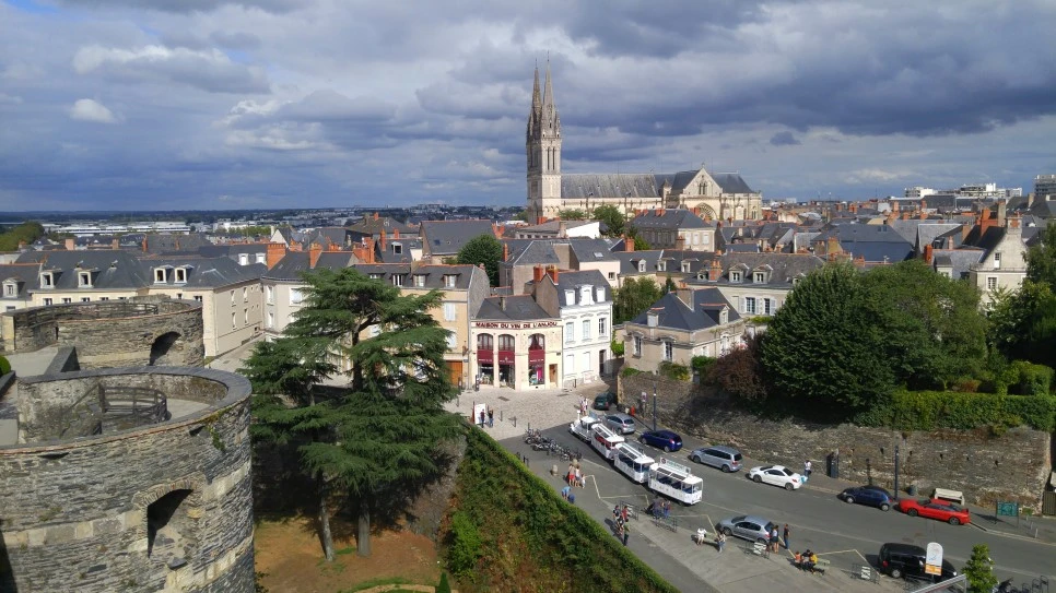 KakaoTalk_20190630_165337219.jpg?type=w966