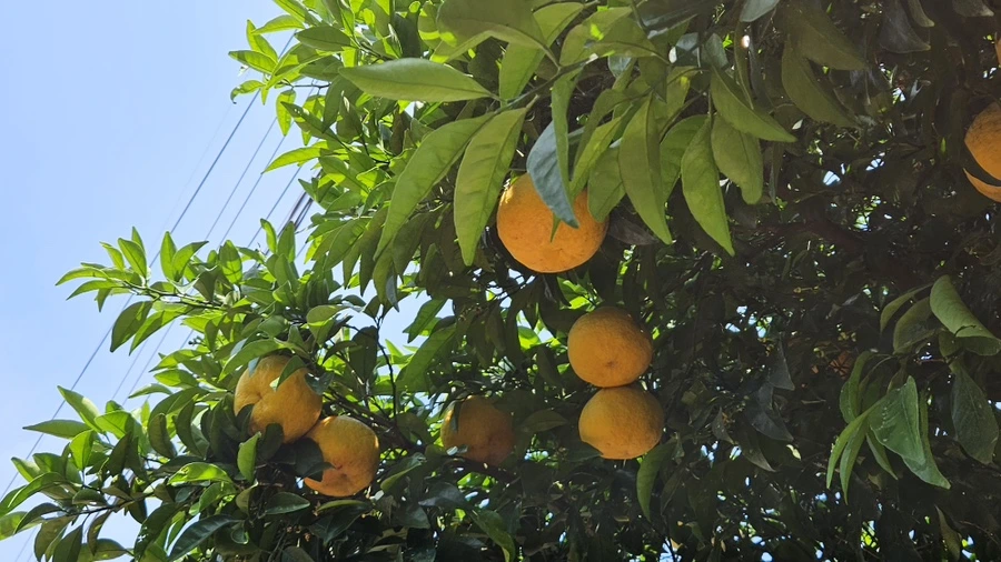 20230520_113750.jpg?type=w1