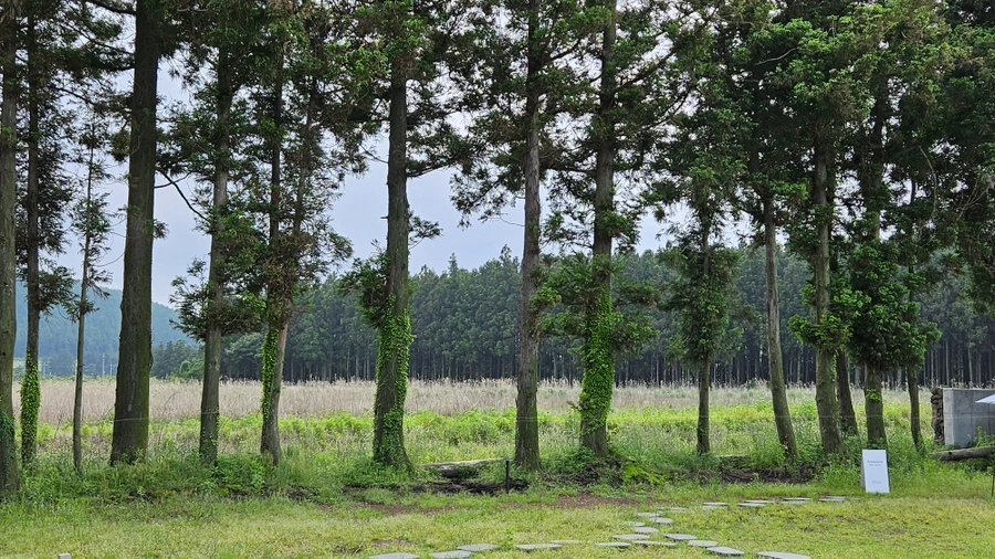 20230521_152043.jpg?type=w1