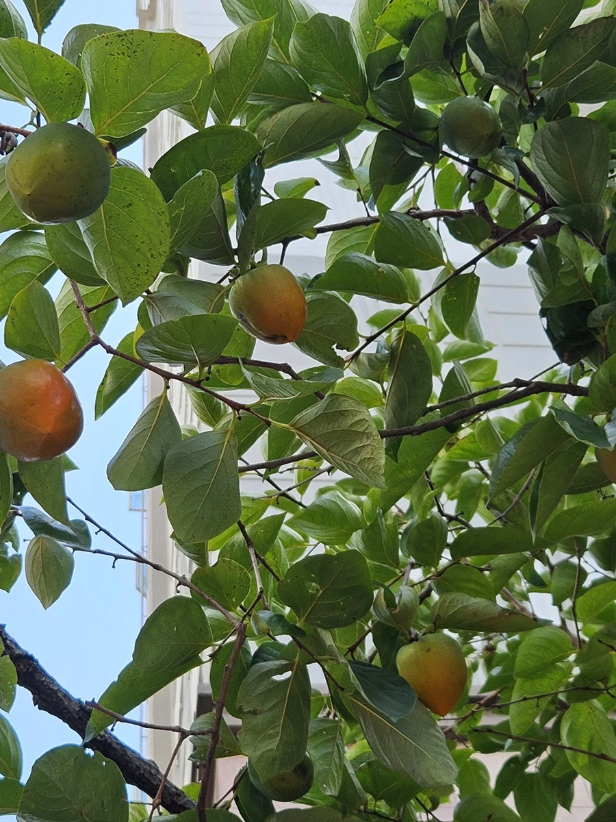 20230909_141116.jpg?type=w1